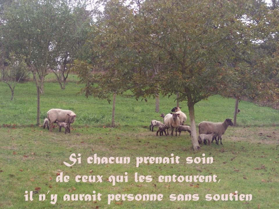 Covid 19 care