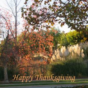 November