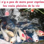 Poisson d'avril
