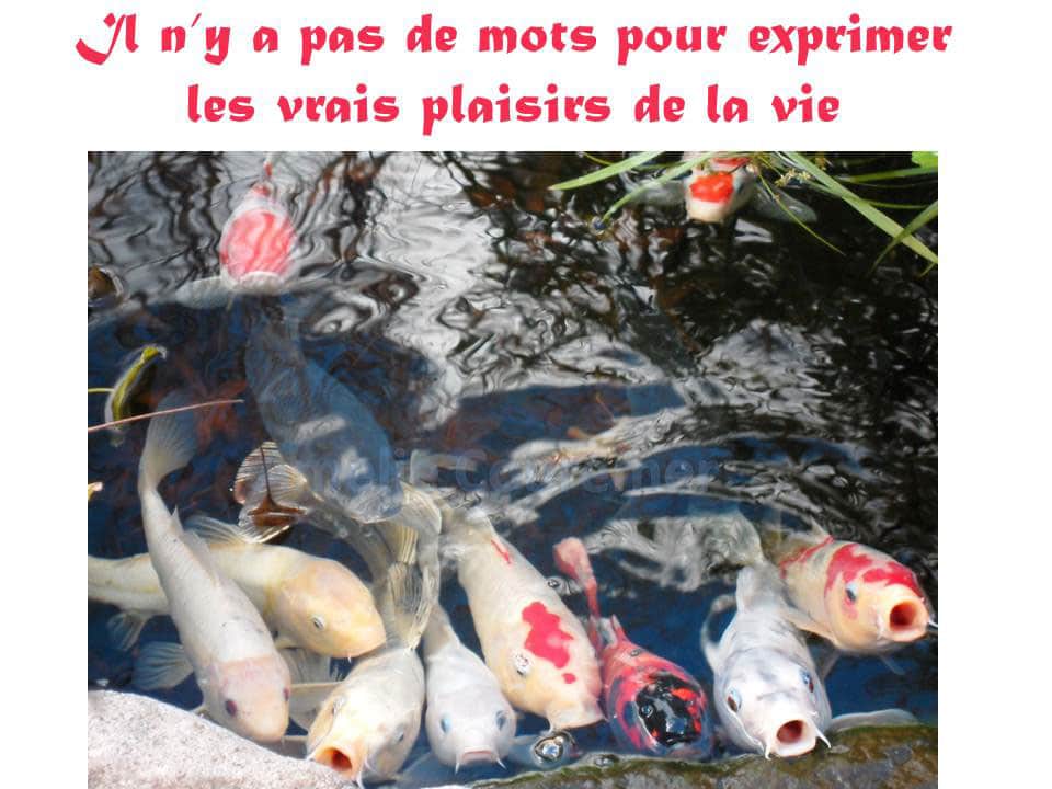 Poisson d'avril