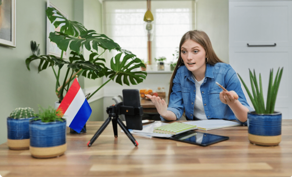 Online French language tutor